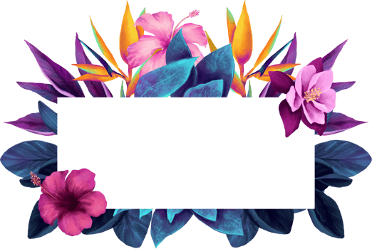 Vibrant Orchid Flora Watercolor frame Illustration png
