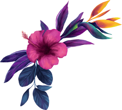 Vibrant Orchid Flora Watercolor Illustration png