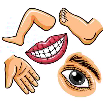 body parts graphic element illustration vector