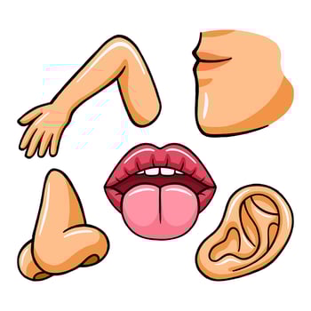 body parts graphic element illustration vector