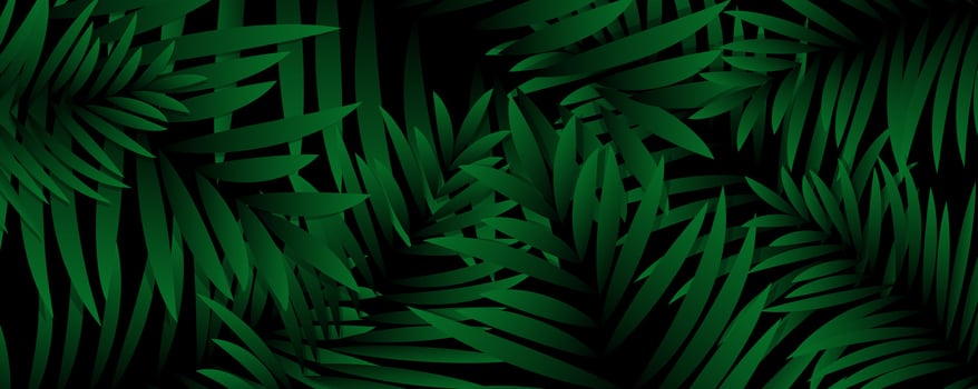 Escape to a Paradise of Sun-Kissed Shores vector