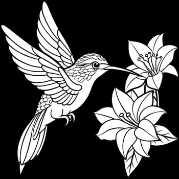 hummingbird with flowers coloring page vector