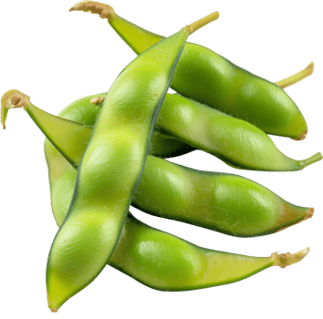 Edamame vegetable isolated - Healthy Fresh Edamame vegetable illustration png