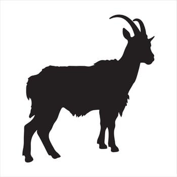 Goat silhouette white background. vector