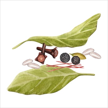 Bay leaves, cloves and saffron with black pepper and cardamon. Set of spices for cooking recipes. Aromatic ingredients. Hand drawn watercolor illustration isolated from background. Seasoning clip art vector