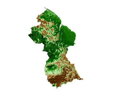 Guyana Topographic Map 3d realistic map Color 3d illustration png