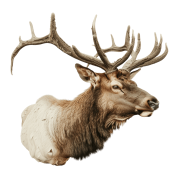 Elk alpha background png