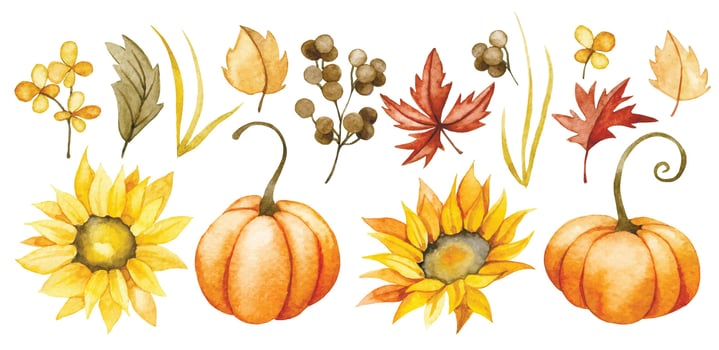 watercolor drawing, set with pumpkins and sunflower flowers in vintage style. clipart for thanksgiving day, autumn harvest festival vector