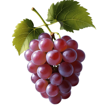 A fresh grapes with two leaves png