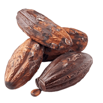 Cacao Isolated on Transparent Background png