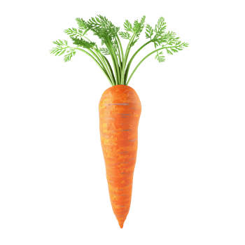 3d carrot Isolated on Transparent Background png