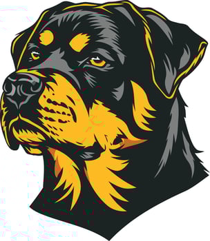 Rotweiler dog head illustration vector