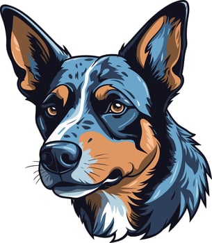A striking illustration of a blue heeler dog s head, perfect for pet lovers, dog owners, and those looking for a bold design vector