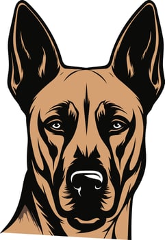 A fierce and focused german shepherd head, perfectly captured in this bold, graphic illustration vector