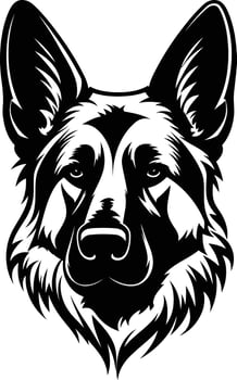 A powerful and fierce black and white illustration of a german shepherd's head vector