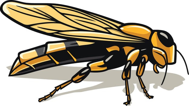 A cartoon illustration of a yellow and black wasp with a menacing expression, perfect for graphic design projects, children's books, and educational materials vector