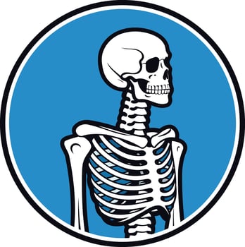 A cartoon skeleton with a friendly smile and sunglasses, isolated on a blue background vector
