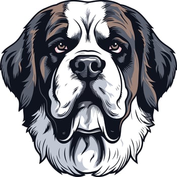 Close-up portrait of a saint bernard dog's face vector