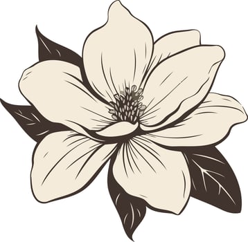 Elegant hand-drawn magnolia flower, perfect for adding a touch of natural beauty to your design projects vector