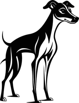 A sleek and stylish black and white silhouette of a graceful italian greyhound dog vector