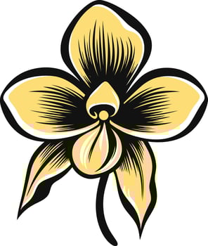 A bold and graphic illustration of a yellow orchid, perfect for adding a touch of elegance to your designs vector