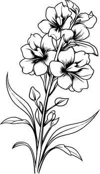 Elegant line art illustration of a blooming flower vector