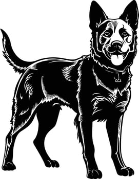 Black and white silhouette of a friendly australian cattle dog, perfect for pet-related designs, t-shirts, and social media vector