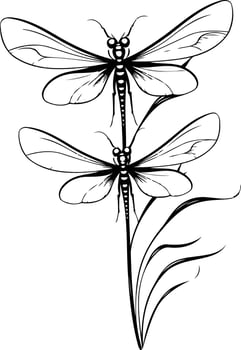 Elegant line art illustration of two dragonflies perched on a stem, perfect for nature-themed designs, tattoo inspiration, or minimalist artwork vector