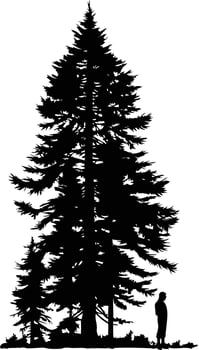 A solitary figure stands before a towering pine tree, its silhouette a stark contrast against the white background vector