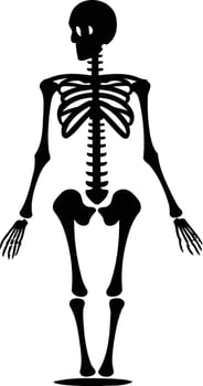 A simple, black and white silhouette of a human skeleton vector