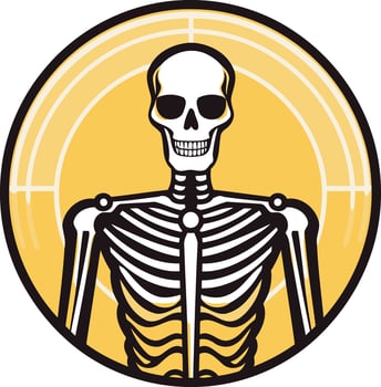 A stylized skeleton illustration, perfect for halloween, medical, or anatomy themed designs vector