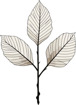 Elegant, minimalist illustration of three leaves on a branch vector
