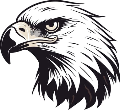 Close Up of Bald Eagle Head vector