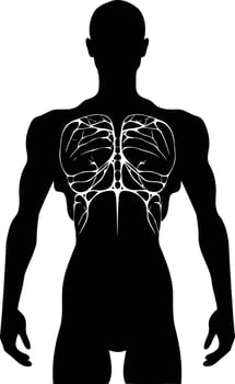 Silhouette of a muscular torso, perfect for fitness, anatomy, and strength illustrations vector