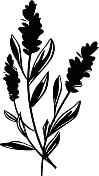 Elegant black and white silhouette of lavender flowers vector