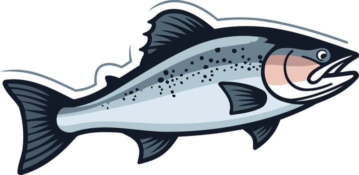 A stylized illustration of a salmon, perfect for seafood restaurants, fishing brands, or nature inspired designs vector