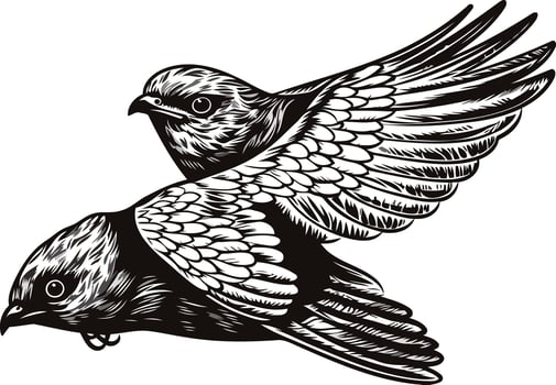 Vintage Illustration of Two Birds in Flight vector