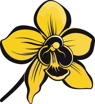 A vibrant yellow orchid flower with a black outline, perfect for adding a touch of tropical beauty to your designs vector
