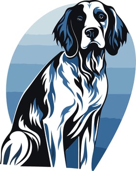 Elegant Black and White English Springer Spaniel vector