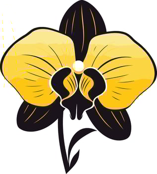 Black and Yellow Orchid vector