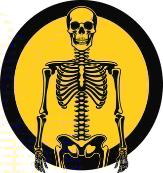 Skeleton Illustration on Yellow Background vector