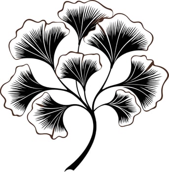 Ginkgo Biloba Branch with Veined Leaves vector