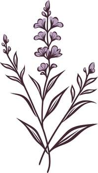 Elegant Floral Illustration with Purple Flowers vector