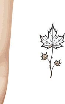 Minimalist Illustration of a Maple Leaf vector