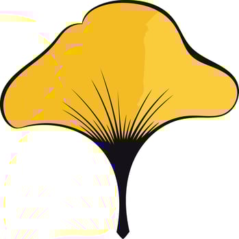 Ginkgo Leaf Illustration vector