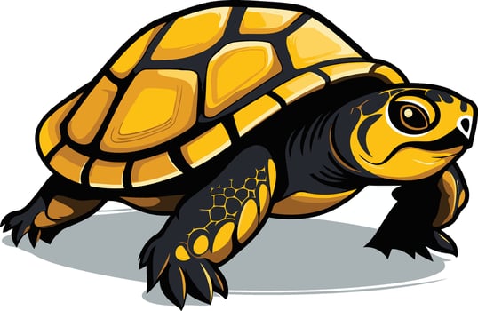 Cartoon Yellow Turtle Illustration vector