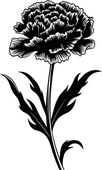 Black and white carnation clip art vector