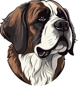 Portrait of a Saint Bernard Dog vector