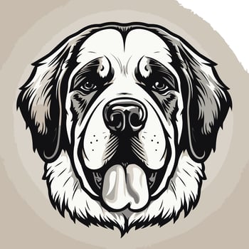 Saint Bernard Dog Portrait with Tongue Out vector