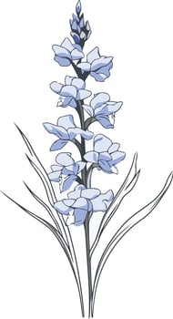 Delicate Blue Wildflower with Slim Leaves vector